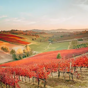 Opera 02 , Castelvetro di Modena Italië